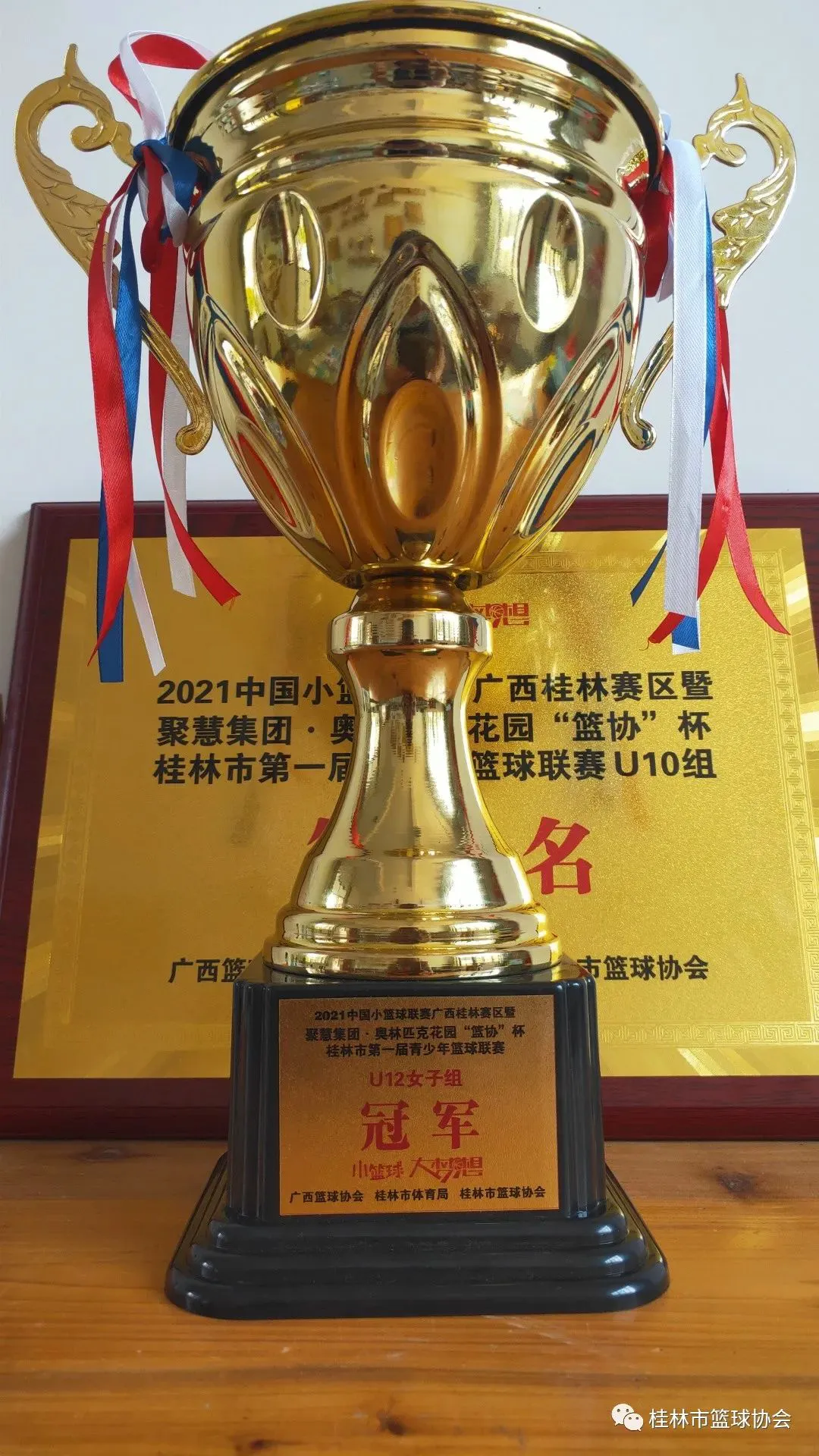 如何为不同水平的球员制定个性化的篮球训练策略_1
